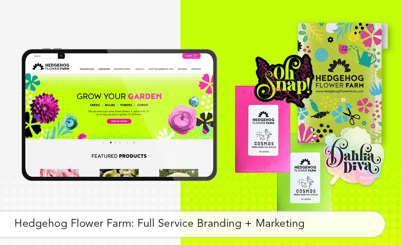 hedgehog flower farm